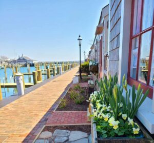 Nantucket Boat Basin - what's new - marinalife