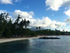 Luquillo Beach - bioluminescent bays - marinalife