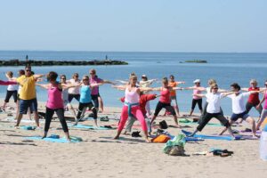 Hammonasset Beach - new england beaches - marinalife