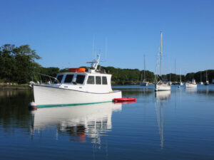 Hadley Harbor - new england beaches - marinalife