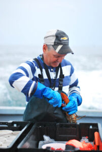 Fisherman and lobsters - ne dock and dine - marinlaife