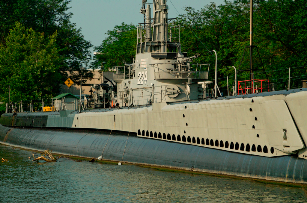 USS Cod | History | Marinalife