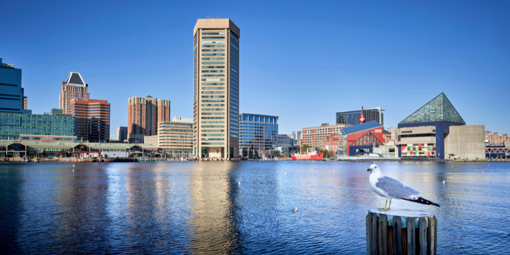 Celebrate Marinalife's 25th anniversary by exploring Baltimore's top 25 attractions, from historic landmarks like Fort McHenry to vibrant neighborhoods and cultural treasures.