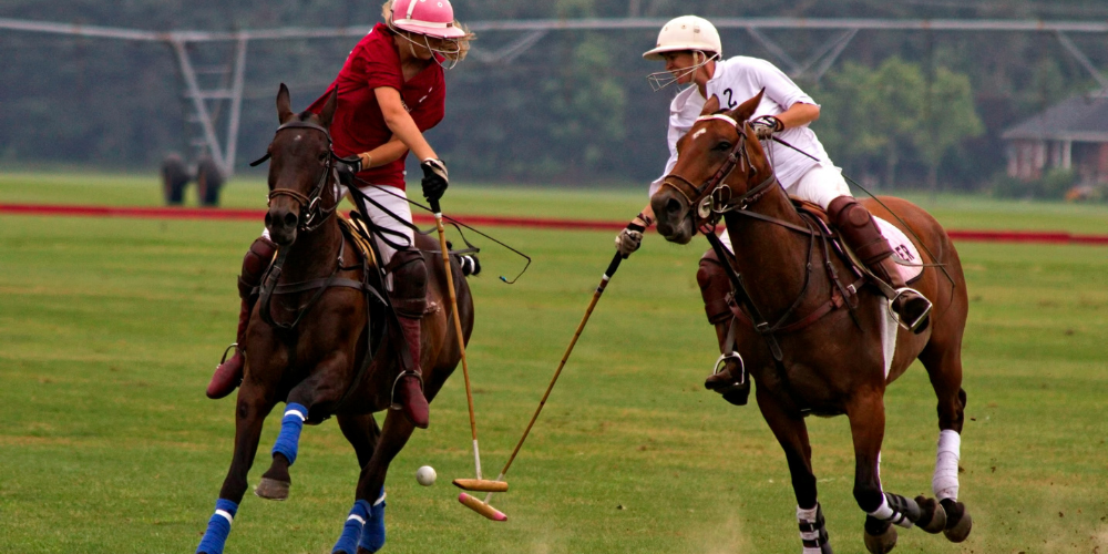 Catch Florida’s fall sports scene, from high-speed jai-alai to elegant croquet, and experience the diverse athletic culture that makes Florida unique.